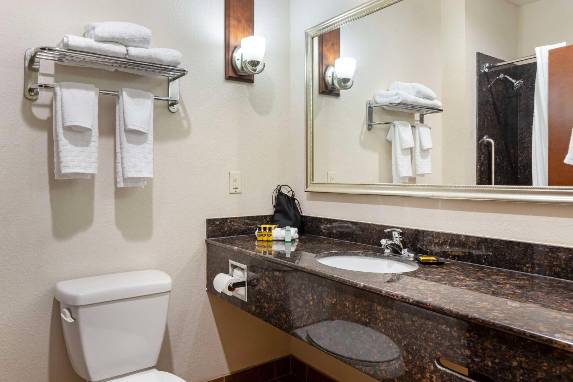 Best Western Plus Greenville South Piedmont Dış mekan fotoğraf